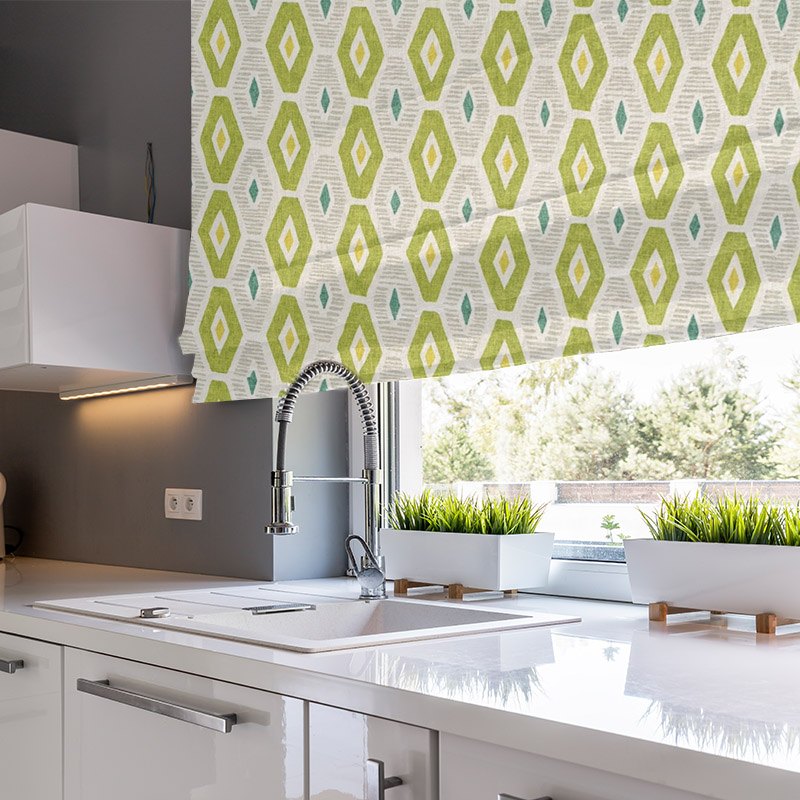 roman blinds explore cactus