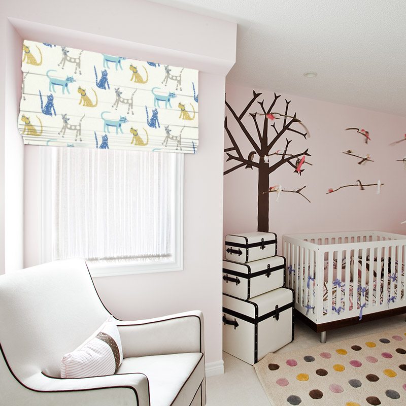 roman blinds nz pretty kitty