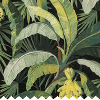 Clip La Palma Moonlight