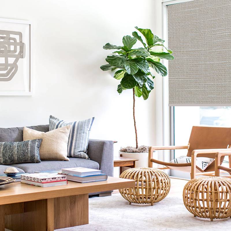 blinds and curtains linesque soba