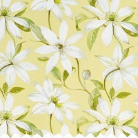 roman blinds nz emily primrose