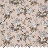 Clip Hydrangea Blush