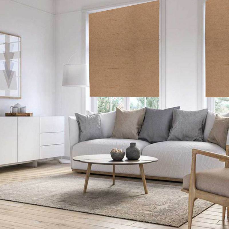 living room roller blinds maharaja ii peach